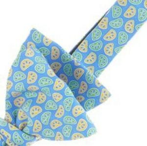 Vineyard Vines Lemon Lime Neck Bow Tie NWT